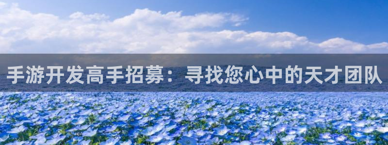 恒盛娱乐下载：手游开发高手招募：寻找您心中的天才团队