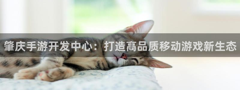 恒盛娱乐登录：肇庆手游开发中心：打造高品质移动游戏新生态