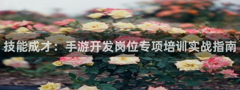 恒盛娱乐平台：技能成才：手游开发岗位专项培训实战指南