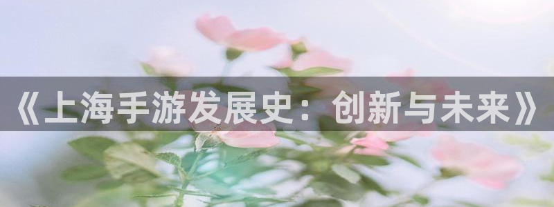 恒盛娱乐官网：《上海手游发展史：创新与未来》