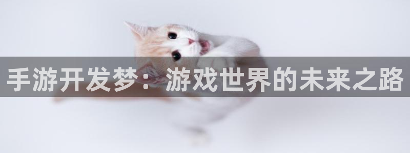 恒盛娱乐下载：手游开发梦：游戏世界的未来之路