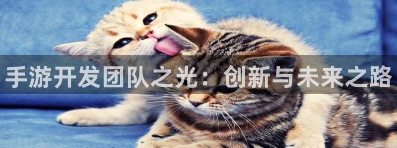 恒盛娱乐注册：手游开发团队之光：创新与未来之路