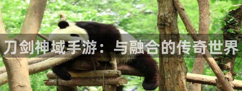 恒盛娱乐：刀剑神域手游：与融合的传奇世界