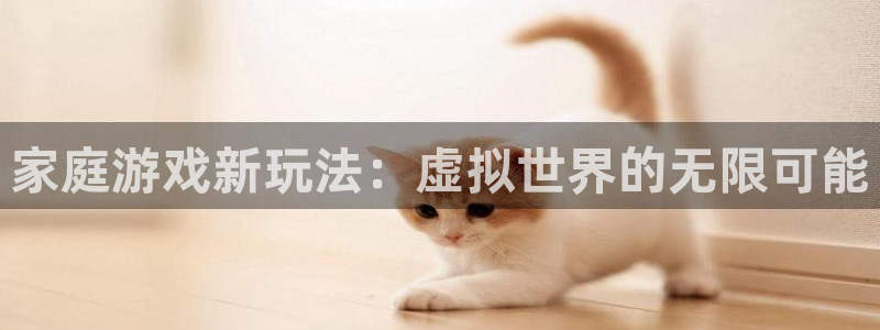 恒盛娱乐：家庭游戏新玩法：虚拟世界的无限可能