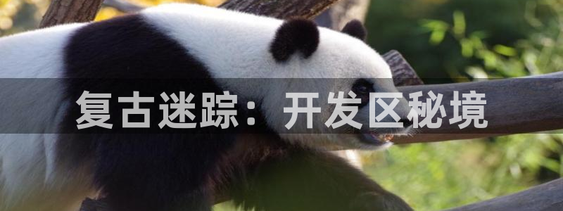 恒盛娱乐登陆：复古迷踪：开发区秘境