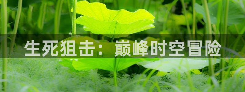 恒盛娱乐登陆：生死狙击：巅峰时空冒险