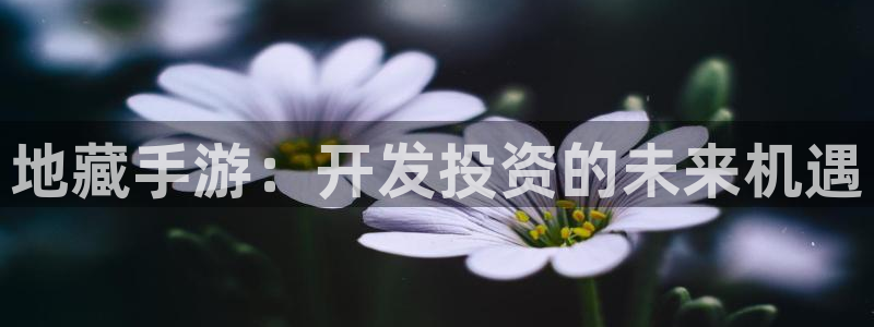 恒盛娱乐注册：地藏手游：开发投资的未来机遇