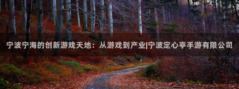 恒盛娱乐登陆：宁波宁海的创新游戏天地：从游戏到产业|宁波定心
