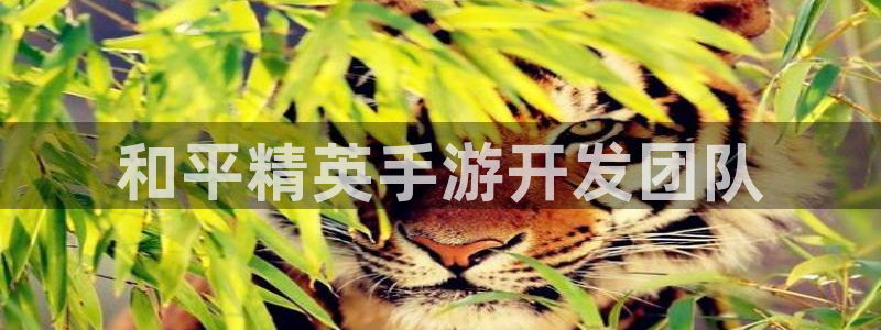 恒盛娱乐：和平精英手游开发团队