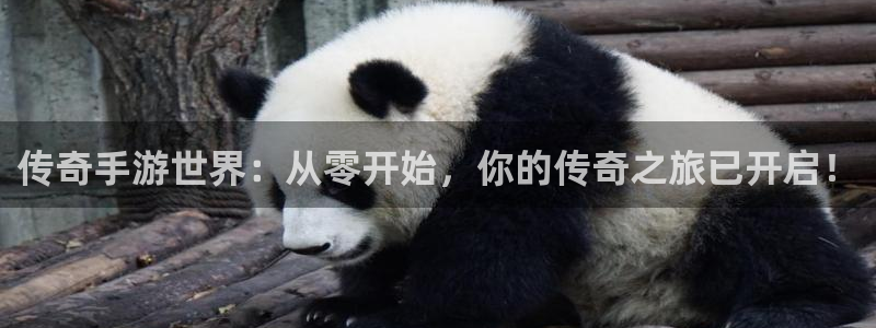 恒盛娱乐登录：传奇手游世界：从零开始，你的传奇之旅已开启！