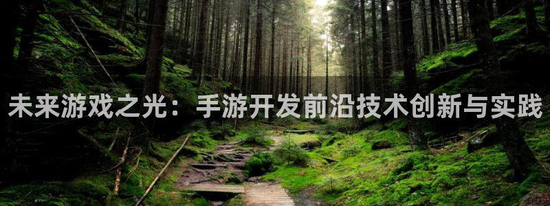 恒盛娱乐注册：未来游戏之光：手游开发前沿技术创新与实践