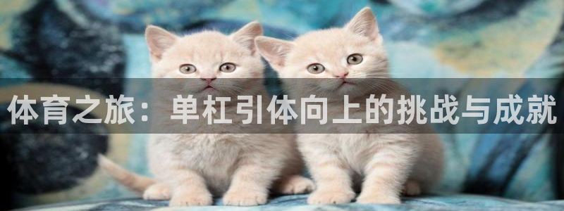 中欧体育：体育之旅：单杠引体向上的挑战与成就