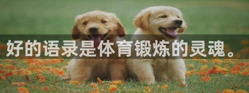 中欧体育集团：好的语录是体育锻炼的灵魂。