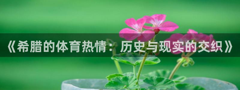 中欧体育最新地址：《希腊的体育热情：历史与现实的交织》