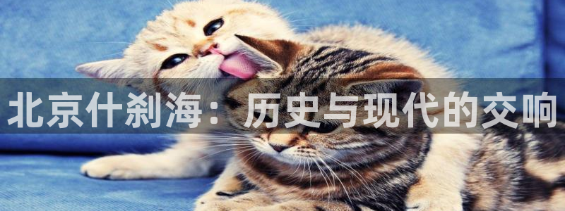 中欧体育客服：北京什刹海：历史与现代的交响