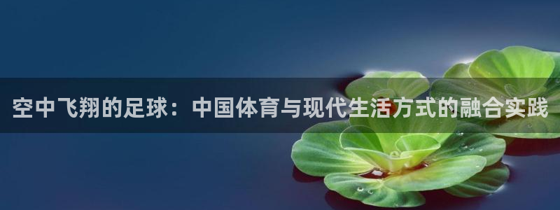 中欧体育ac米兰：空中飞翔的足球：中国体育与现代生活方式的融合实践