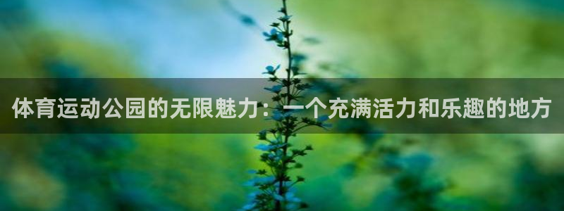 kok新版中欧体育