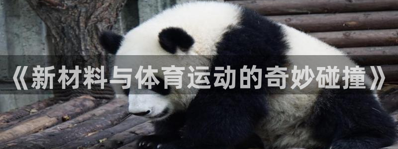中欧体育kok：《新材料与体育运动的奇妙碰撞》